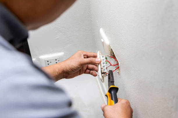 Best Home Electrical Repair  in Leipsic, OH