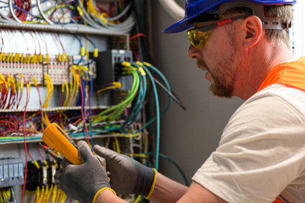 Best Electric Panel Repair  in Leipsic, OH